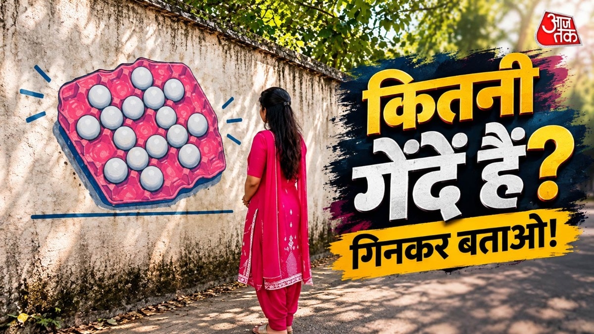 गेंदें गिनते-गिनते चकरा जाएगा दिमाग, बताओ तस्वीर में कितनी हैं? ( Photo: AI)