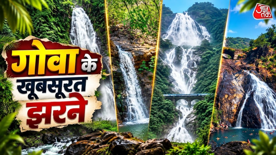 गोवा के 10 सुरम्य झरने जो समुद्र तटों के अलावा घूमने लायक हैं