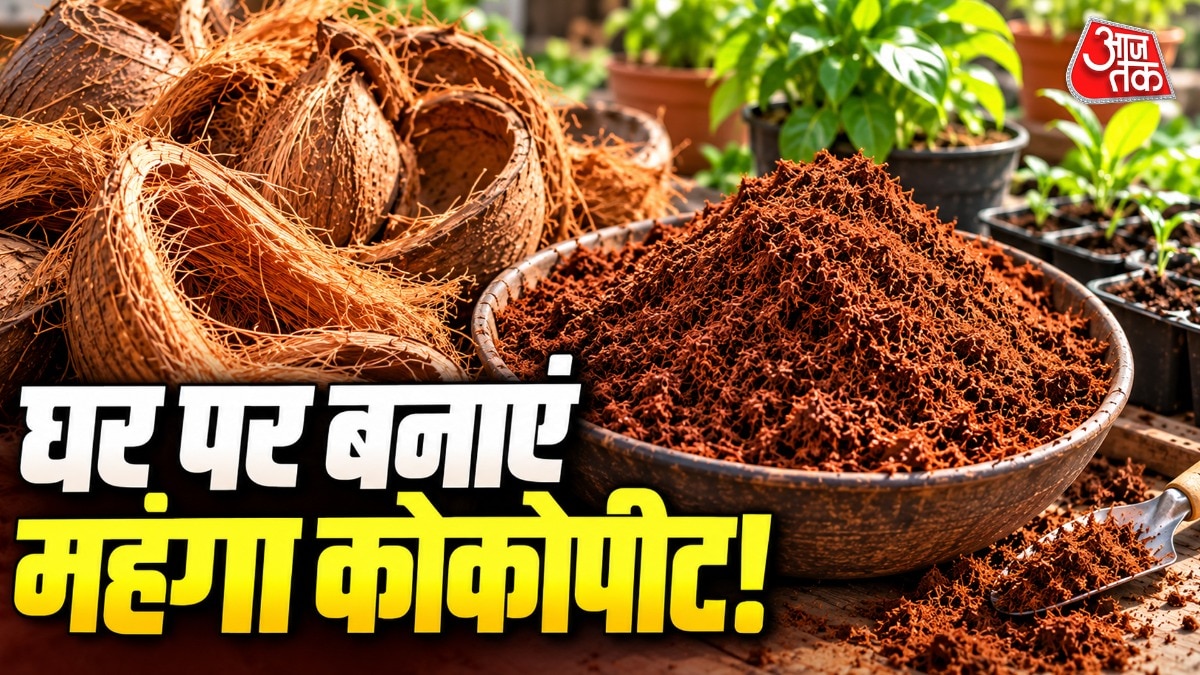 How To Make Cocopeat For Plants (Photo: ITG)