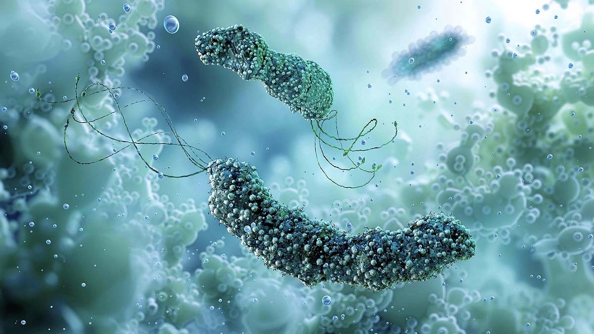 Cancer Risk, 5 Infections