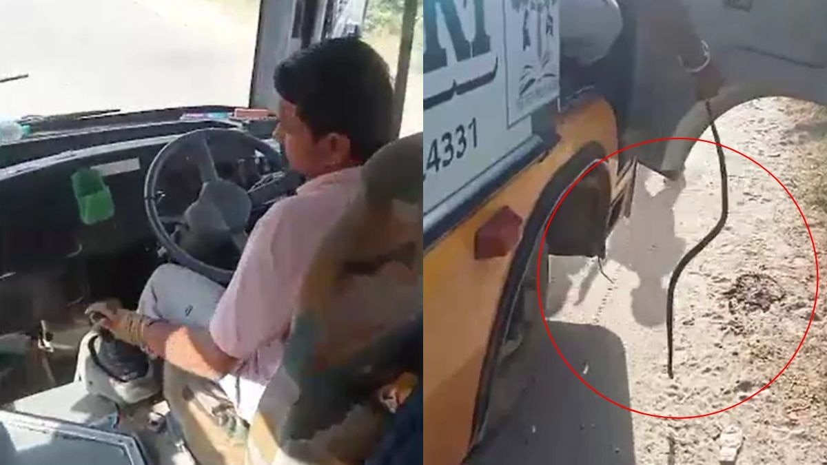 ड्राइवर सीट के नीचे दिखा सांप (Photoscreengrab)