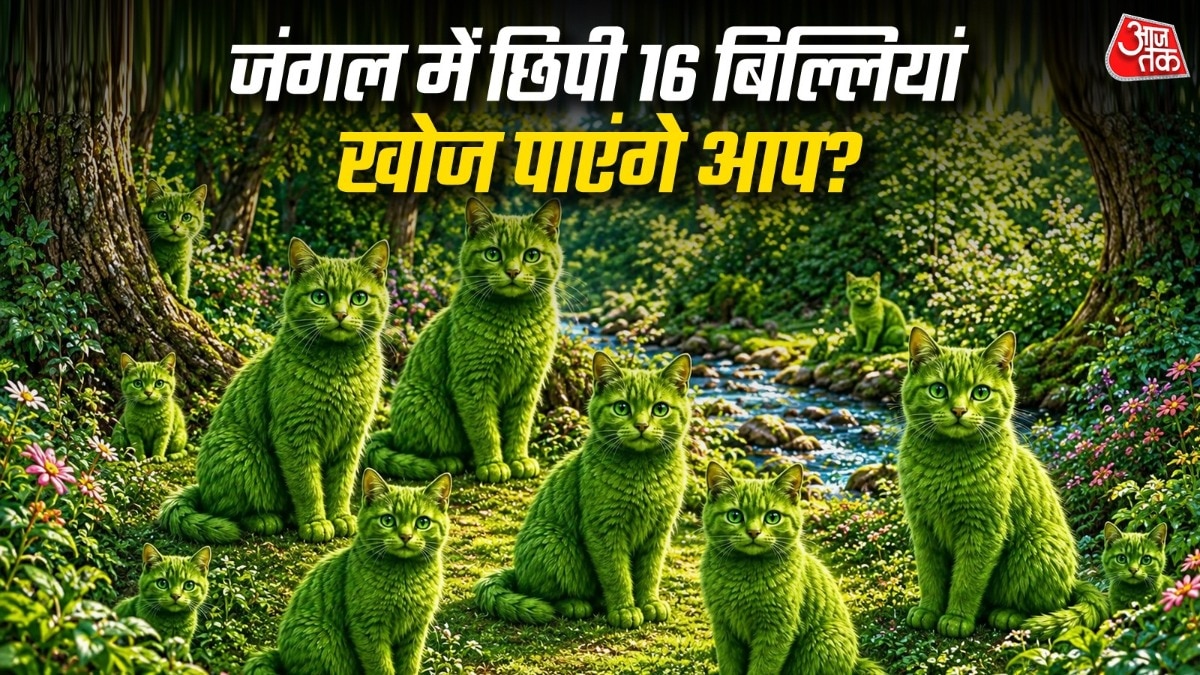 क्या आप बिना जवाब देखे सभी बिल्लियों को ढूंढ सकते हैं? ( Photo: Pinterest)