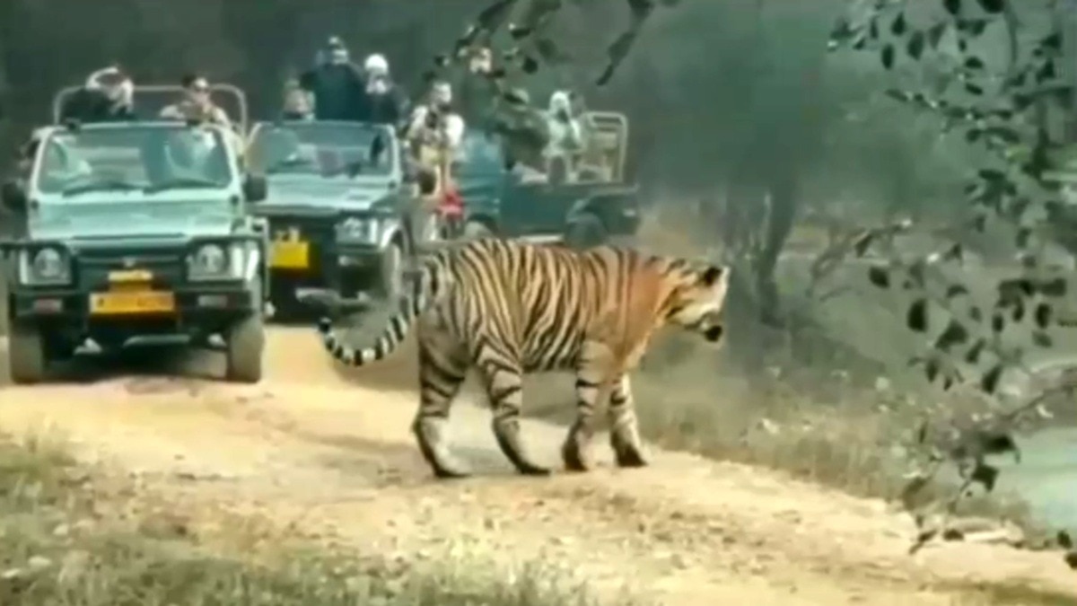 Sawai Madhopur