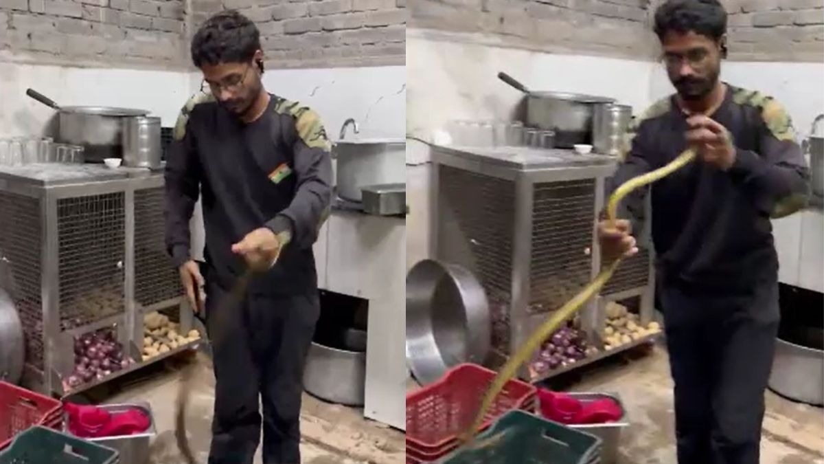 रेस्क्यू टीम ने मौके पर पहुंचकर सांप को पकड़ा. (Photo: Screengrab)