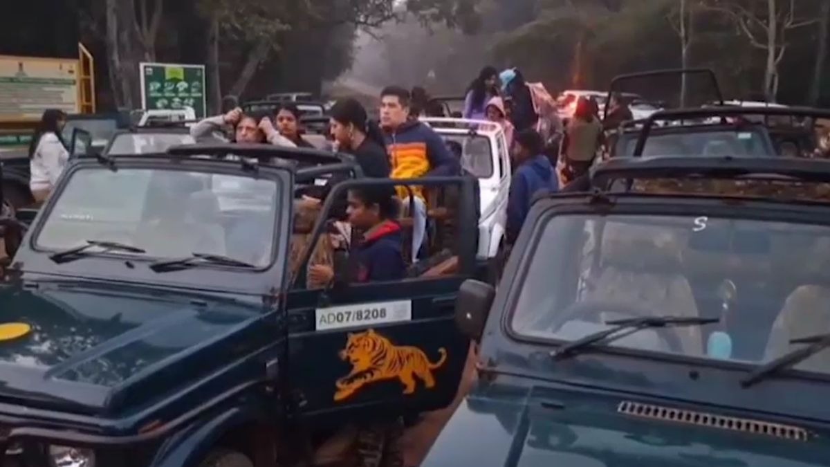 फूलों से स्वागत के बाद जंगल सफारी के लिए रवाना हुईं जिप्सियां. (Photo: ITG)