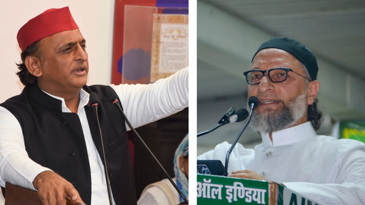 अखिलेश यादव ने AIMIM के साथ गठबंधन की संभावना को नकार दिया है. (File Photo-PTI)