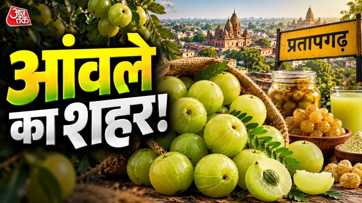 उत्तर प्रदेश आंवला उत्पादन के मामले में देश के प्रमुख राज्यों में है. ( Photo: ITG)