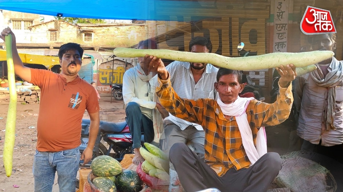 मंडी में दिनभर चर्चा का विषय बनी रही चार फीट लंबी लौकी. (Photo: ITG)
