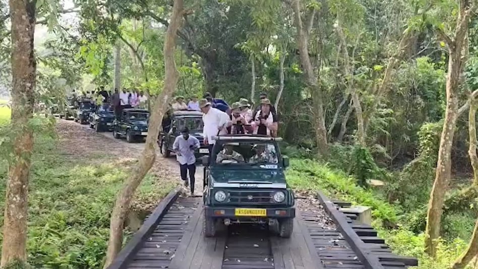 असम में सफारी सीज़न फिर से शुरू हुआ: मानस और काजीरंगा पार्क खुले, पोबितोरा अक्टूबर में खुलेगा