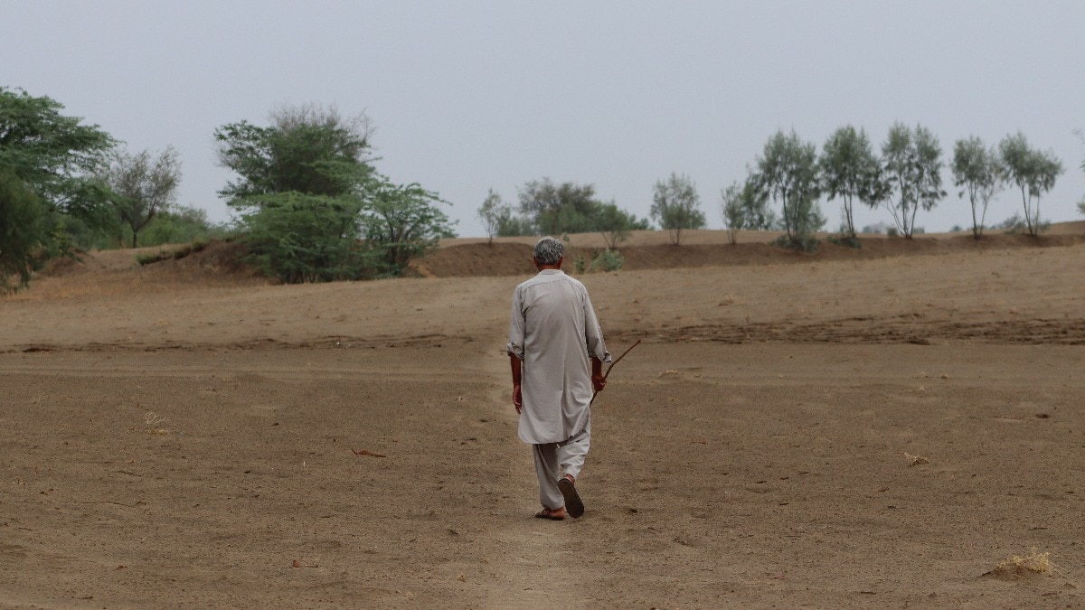 Latur Farmer Suicide (Representative Photo: Pexels)