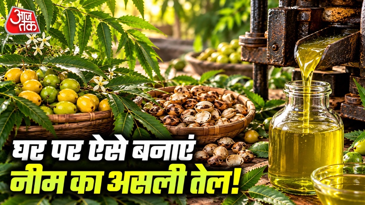 घर पर नीम का तेल निकालने के लिए पहले पकी हुई नीमौड़ी इकट्ठी करनी होती हैं. (Photo: ITG)