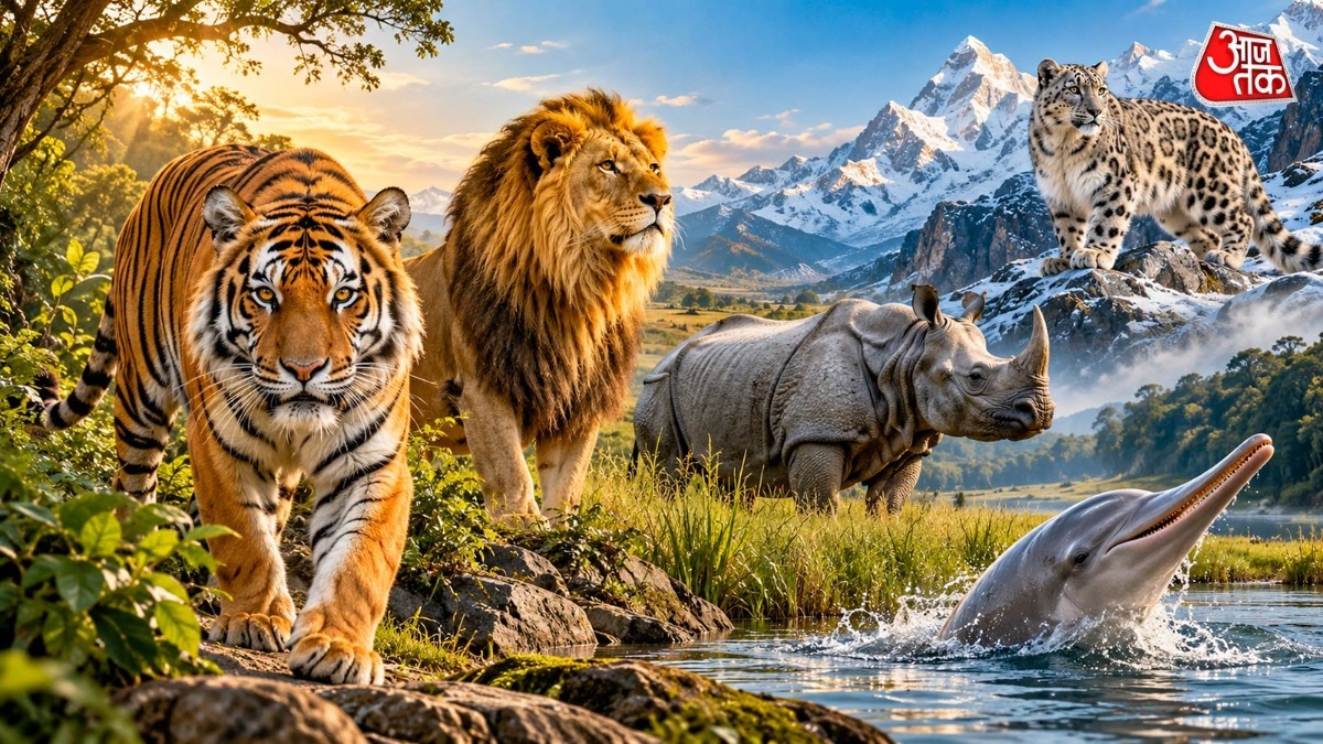 दुनिया भर में जंगली जानवरों की संख्या घटी है लेकिन भारत में बढ़ रही है. (Photo: ITG)