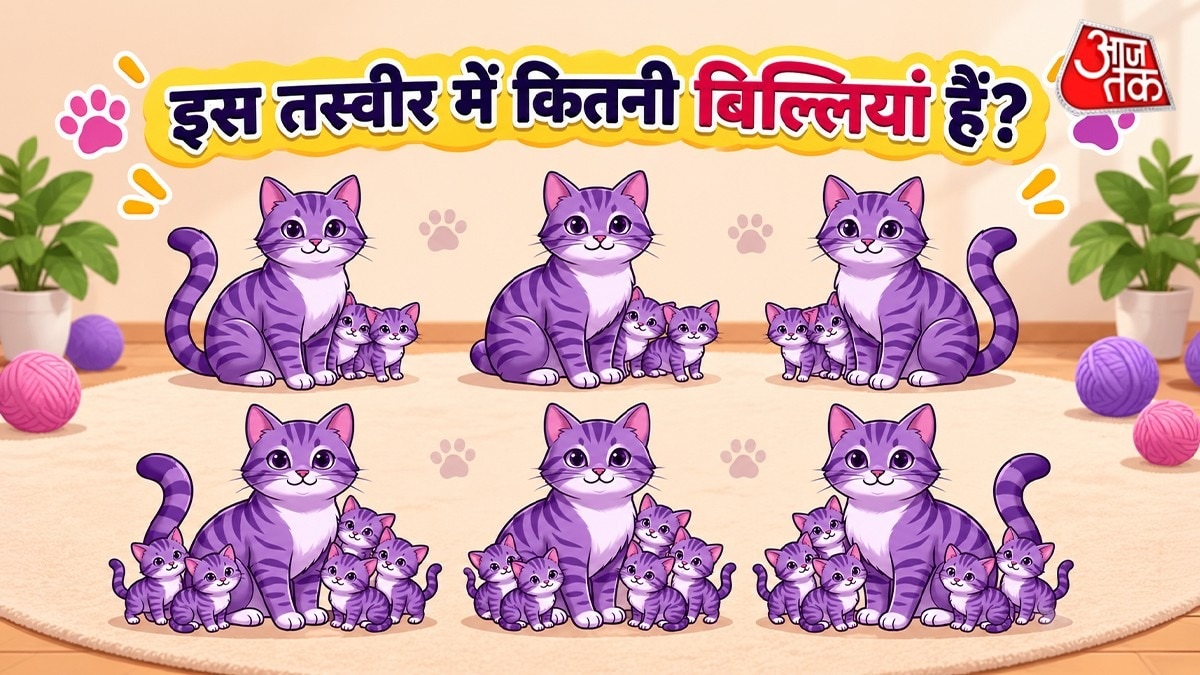 क्या आप सभी बिल्लियों को गिन सकते हैं? ( Photo: Pinterest)