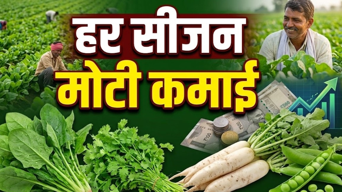 खेती से मोटी कमाई. (Photo: AI generated) 