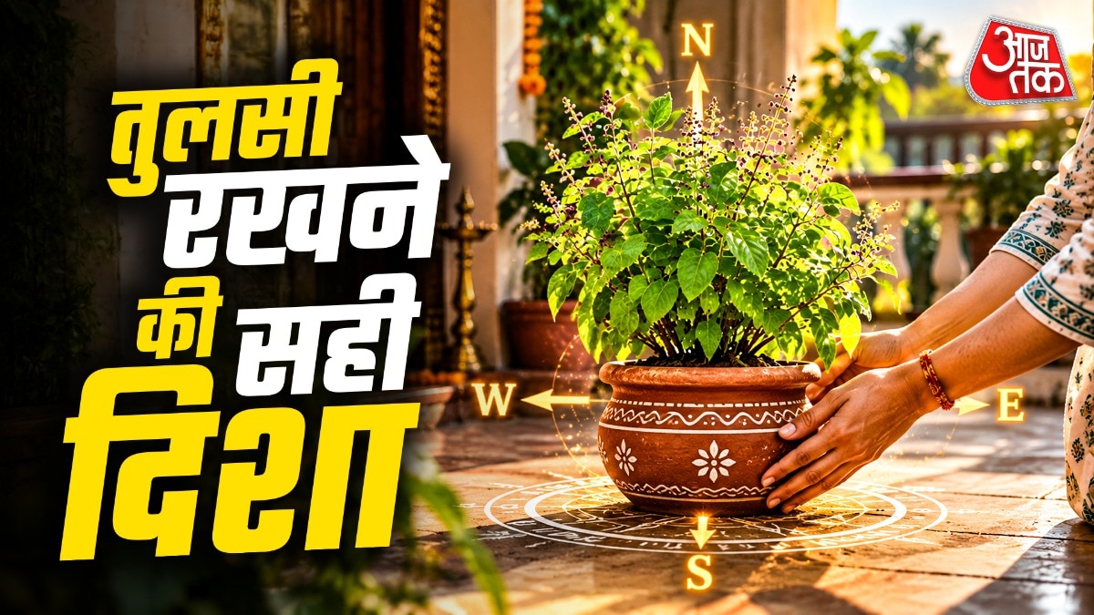 तुलसी के लिए शुभ दिशा (Photo: ITG)