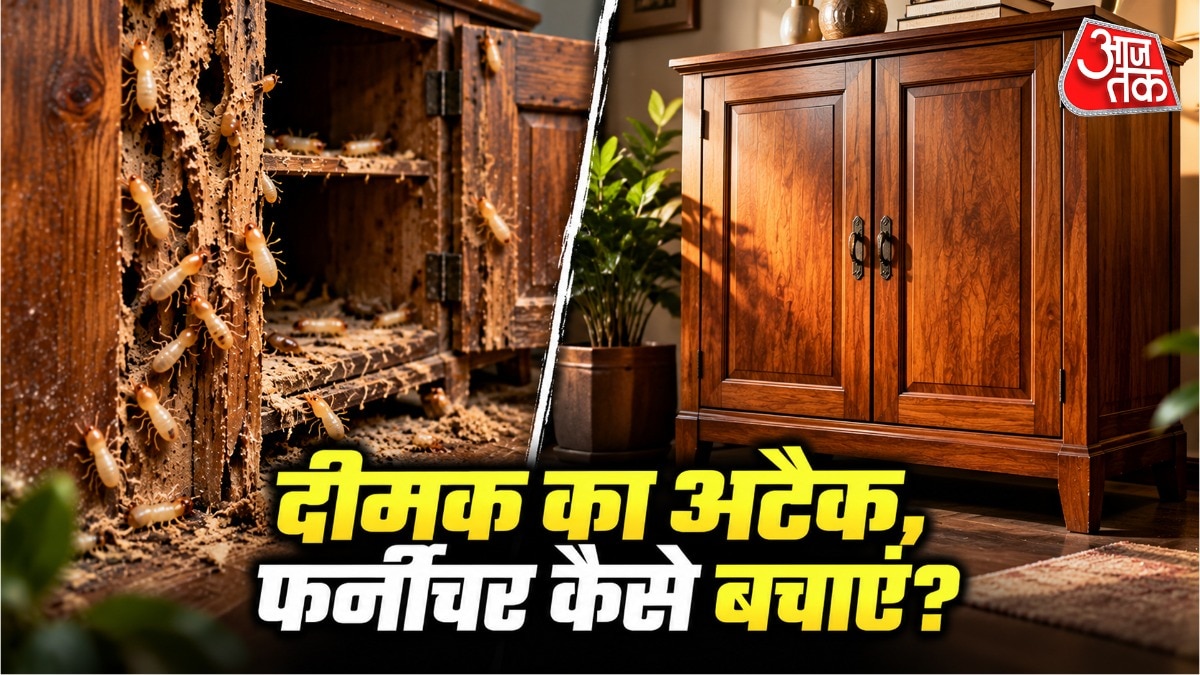 How To Get Rid Of Termites (Photo: ITG)