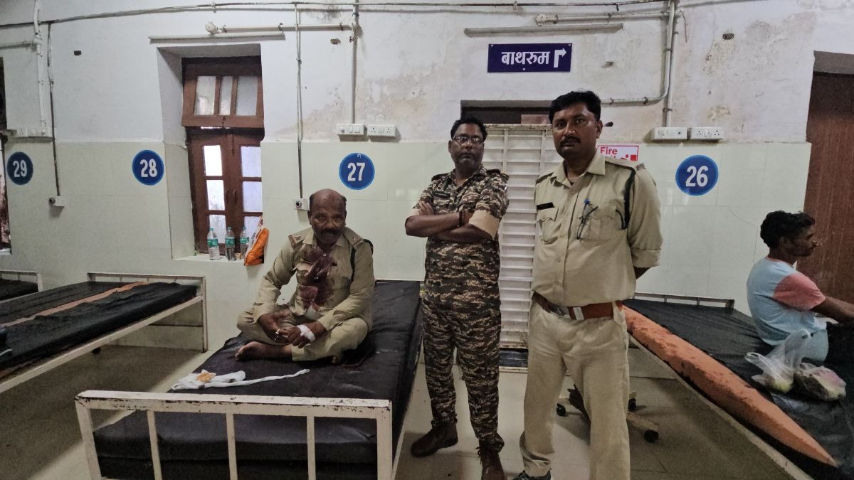 घायल हुए वन विभाग के कर्मचारी (photo:itg)