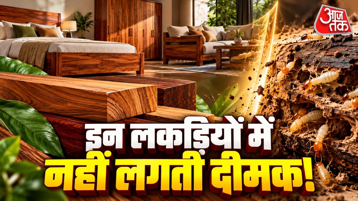 देवदार की लकड़ी में ऐसे नेचुरल ऑयल्स पाए जाते हैं, जो दीमक नहीं लगने देते हैं. (Photo: ITG)