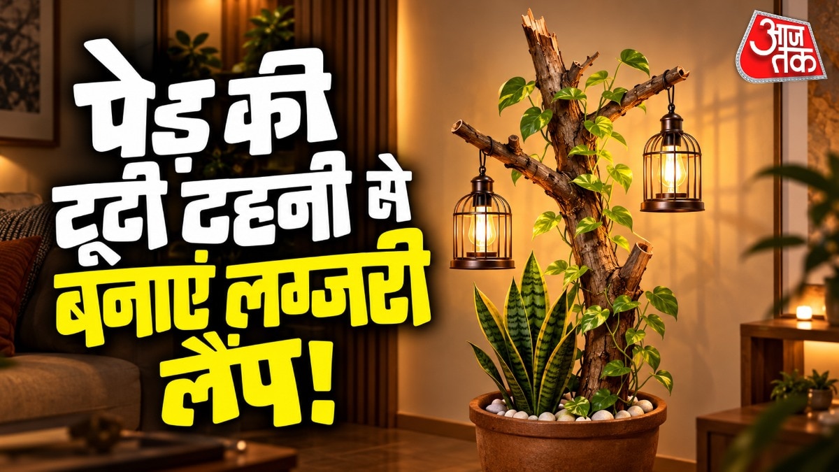 पेड़ की सूखी-टूटी टहनी और लाइट्स को साथ में एसेंबल करके लैंप बनाया जा सकता है. (Photo: ITG)
