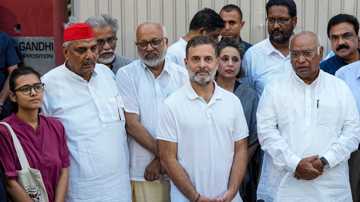 'इंडिया' ब्लॉक की हाई टी मीटिंग में दिग्गज विपक्षी नेता और सोशल एक्टिविस्ट शामिल रहे. (Photo- PTI)
