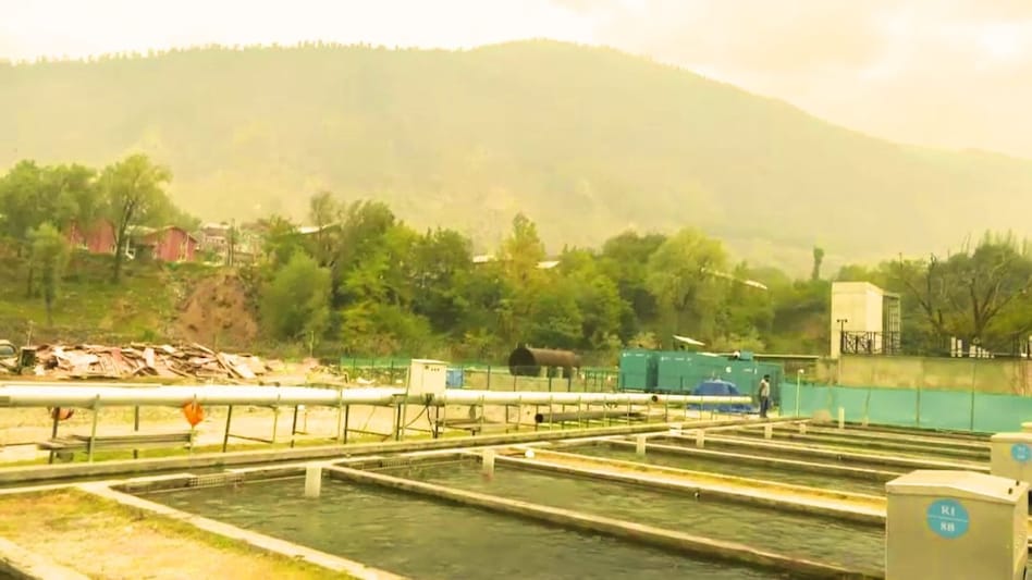 Maior piscicultura da Ásia é criada em Ganderbal e pode levar o truta do Caxemira ao mercado nacional