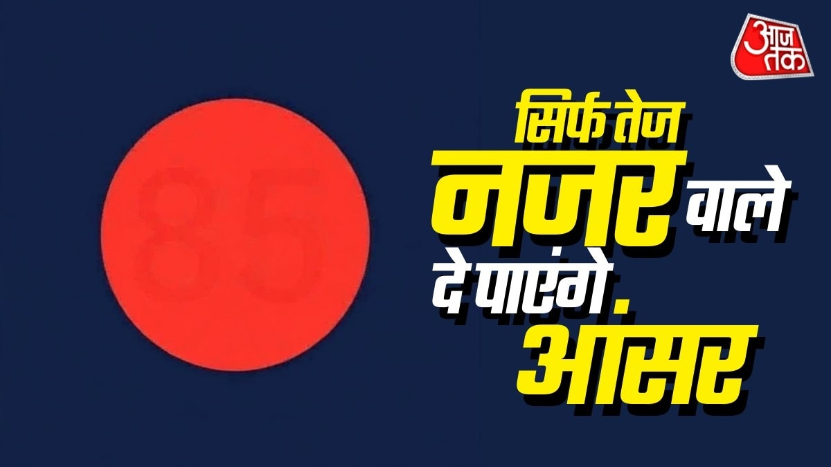  तस्वीर को ध्यान से देखिए और बताइए कि आखिर गोले में कौन-सा नंबर छिपा है. ( Photo: AI)