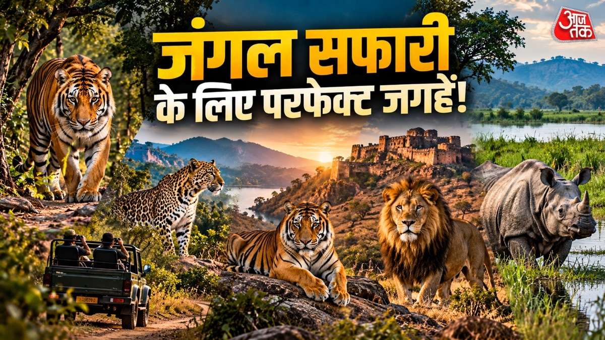 भारत में 8 बेस्ट नेशनल पार्क है.(PHOTO:AI)