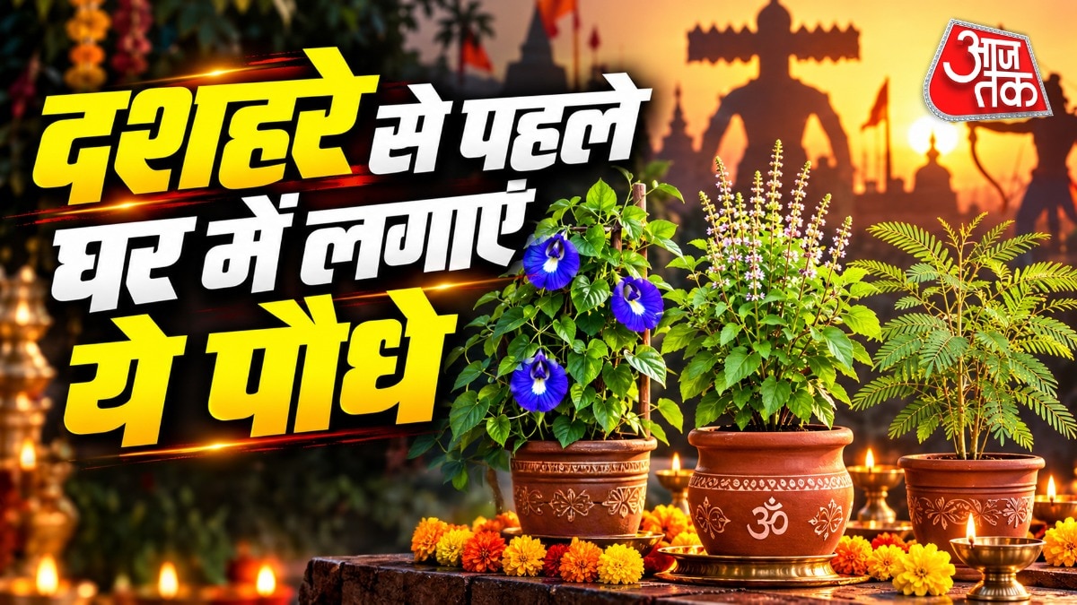 दशहरे से पहले कौन से पौधे लगाएं? (Photo: ITG)