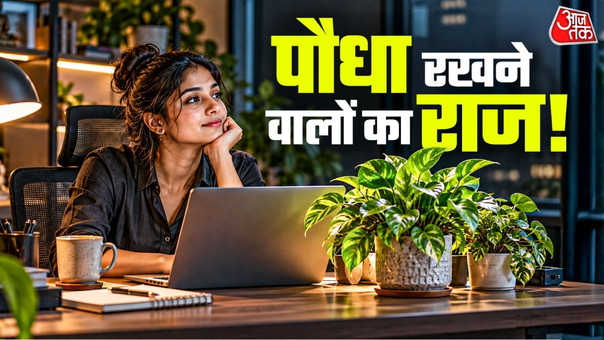 रिसर्चर्स ने पाया कि पौधे रखने के बाद कर्मचारियों को अपना ऑफिस ज्यादा सुंदर लगा. ( Photo: ITG)