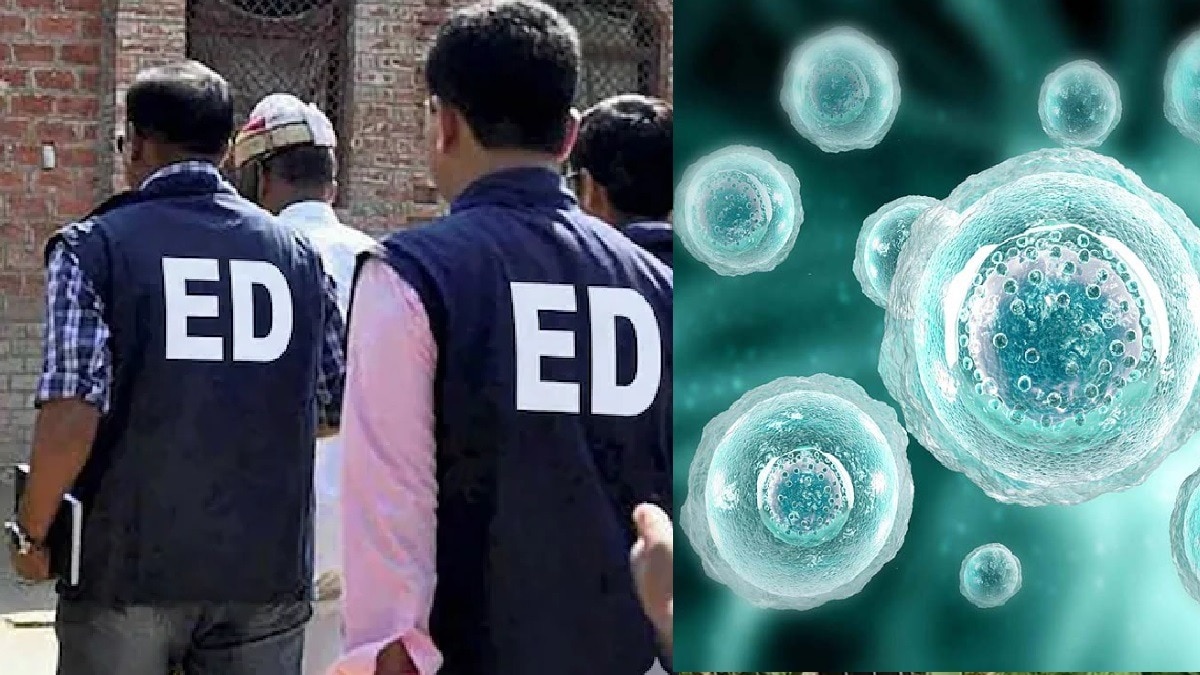 इंसानी अंडाणुओं की अवैध बिक्री का ये हैरान करने वाला मामला है (फोटो-ITG)