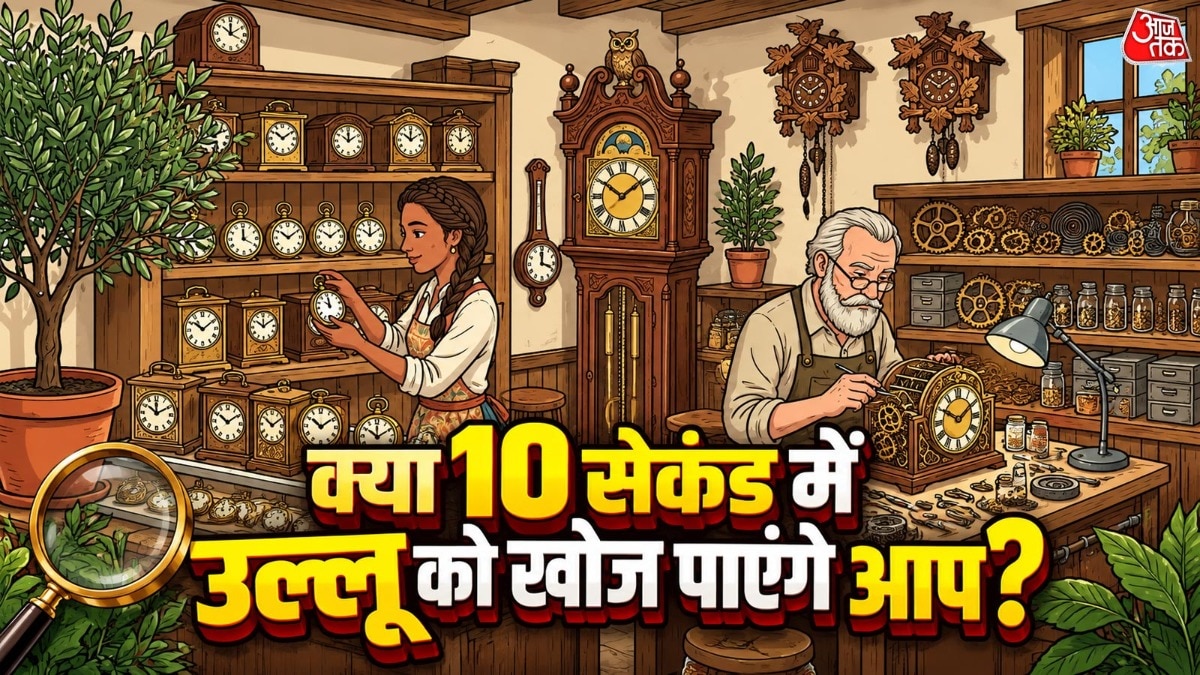  क्या आपने 10 सेकंड के अंदर उल्लू को ढूंढ लिया, या आपको इसे खोजने में थोड़ा ज्यादा समय लगा? ( Photo: ITG)