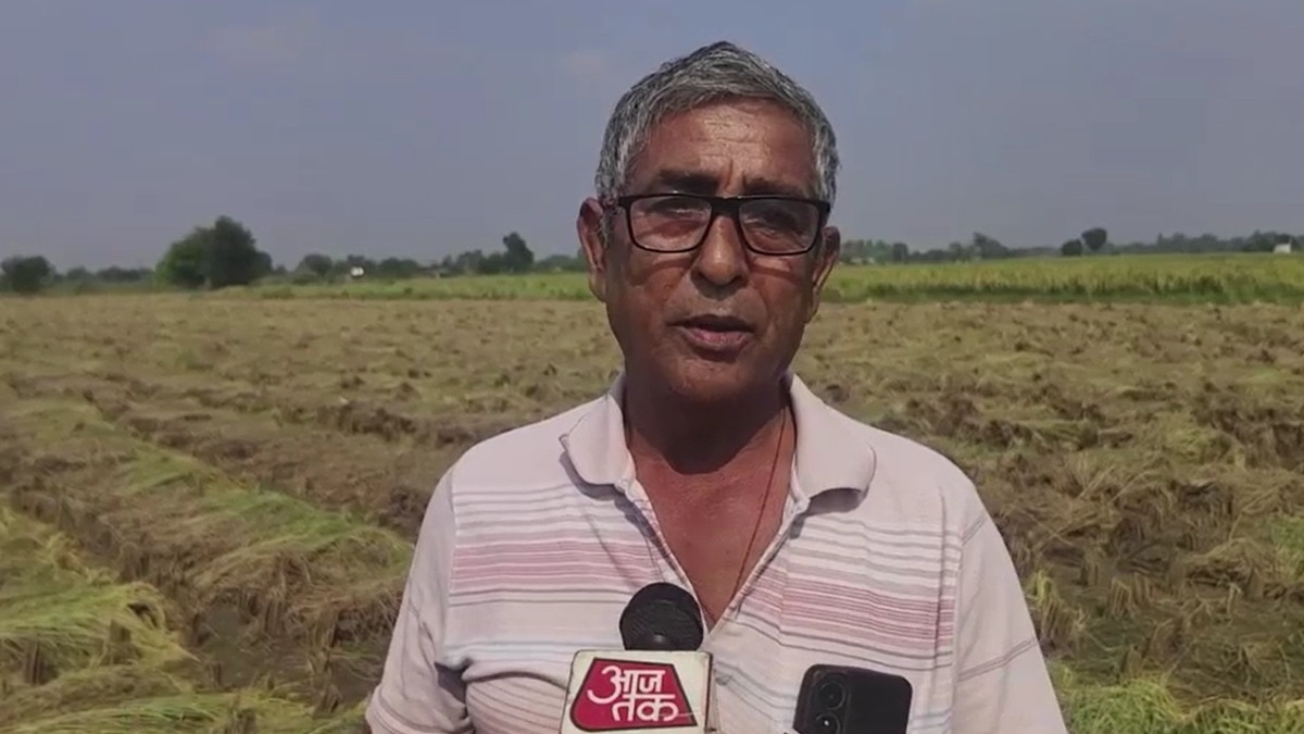 मूली की फसल से बर्बाद हुए किसान रामेश्वर शर्मा. (Photo: Screengrabs)