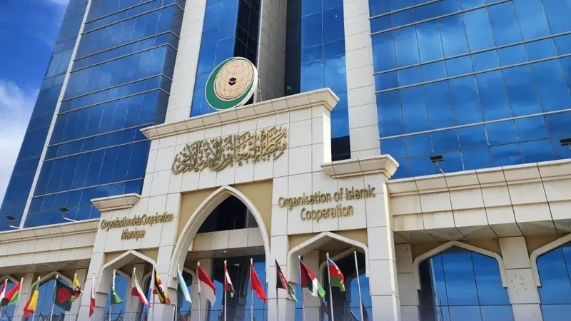 'पाकिस्तान के कट्टरपंथ एजेंडे...', मुस्लिम संगठन OIC को भारत ने दी सख्त नसीहत