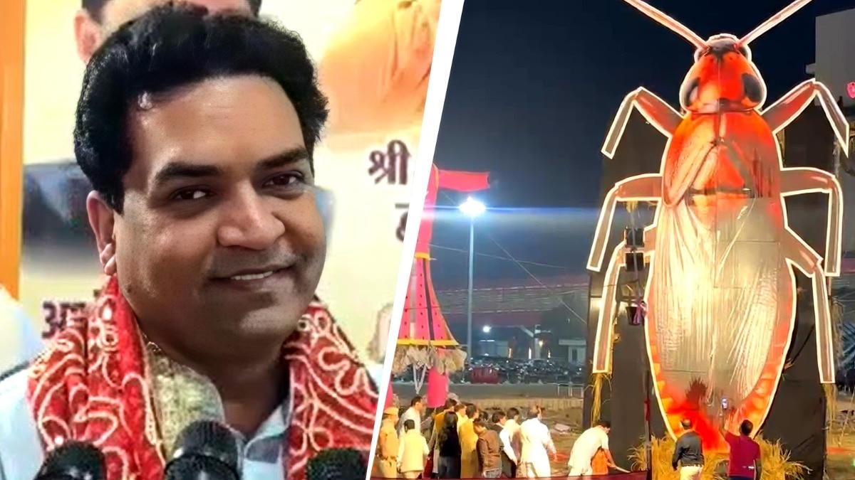 दिल्ली में रावण के साथ जला 30 फीट का कॉकरोच का पुतला. (Photo: Screengrab)