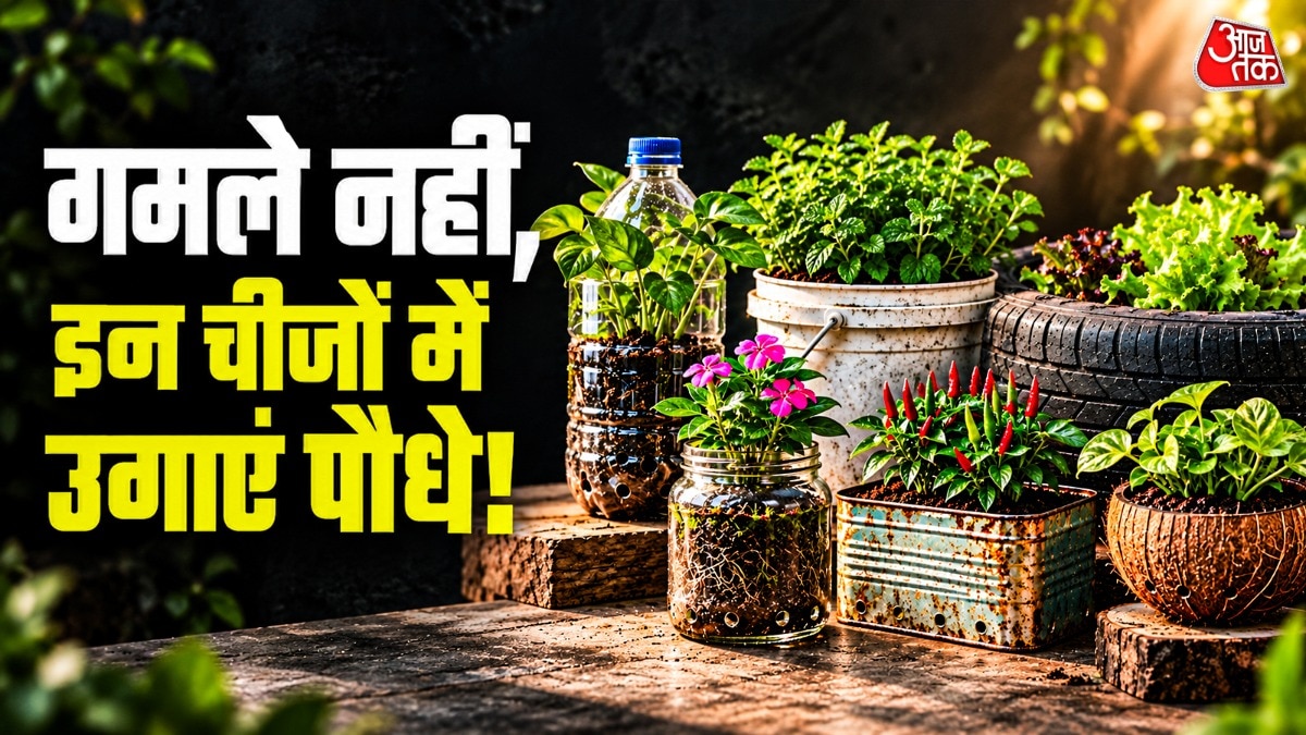 गमलों के अलावा आप कांच के जार और प्लास्टिक की बोतलों में भी पौधे उगा सकते हैं. (Photo: ITG)