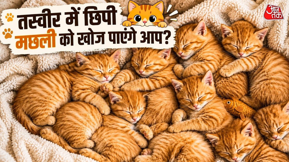  क्या आप बिना किसी मदद के तस्वीर में छिपी मछली को पहचान सकते हैं? ( Photo: Pinterest)