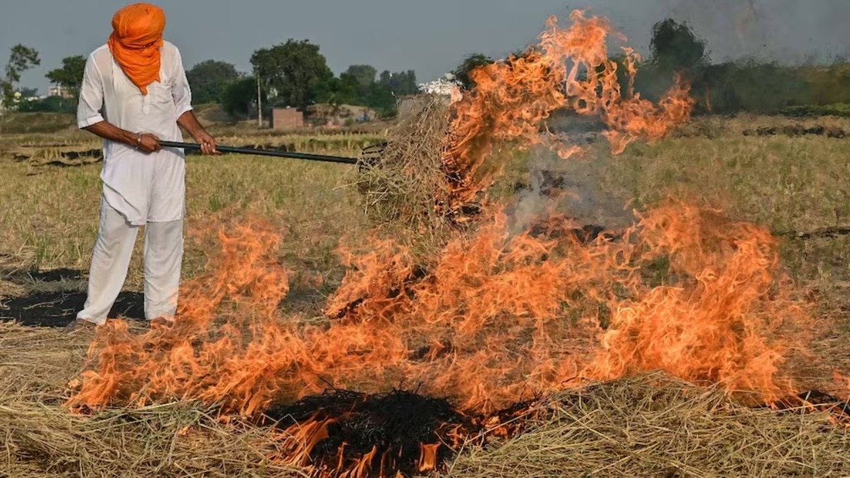 फिरोजपुर में अब तक 23 मामले सामने आए हैं.(File Photo: ITG)