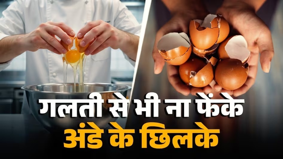 ऐसे यूज करें अंडे के छिलके (Photo: ITG)