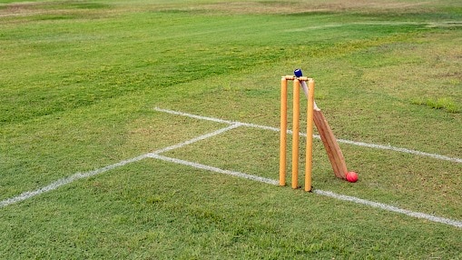 Young Delhi player Aryan Sharma scores 311 runs in school T20 match