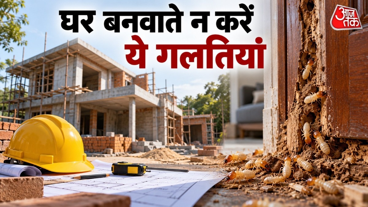 दीमक की कुछ प्रजातियां मिट्टी में रहती हैं और नमी वाली जगहों से घर की लकड़ी तक पहुंच सकती हैं. ( Photo: ITG)