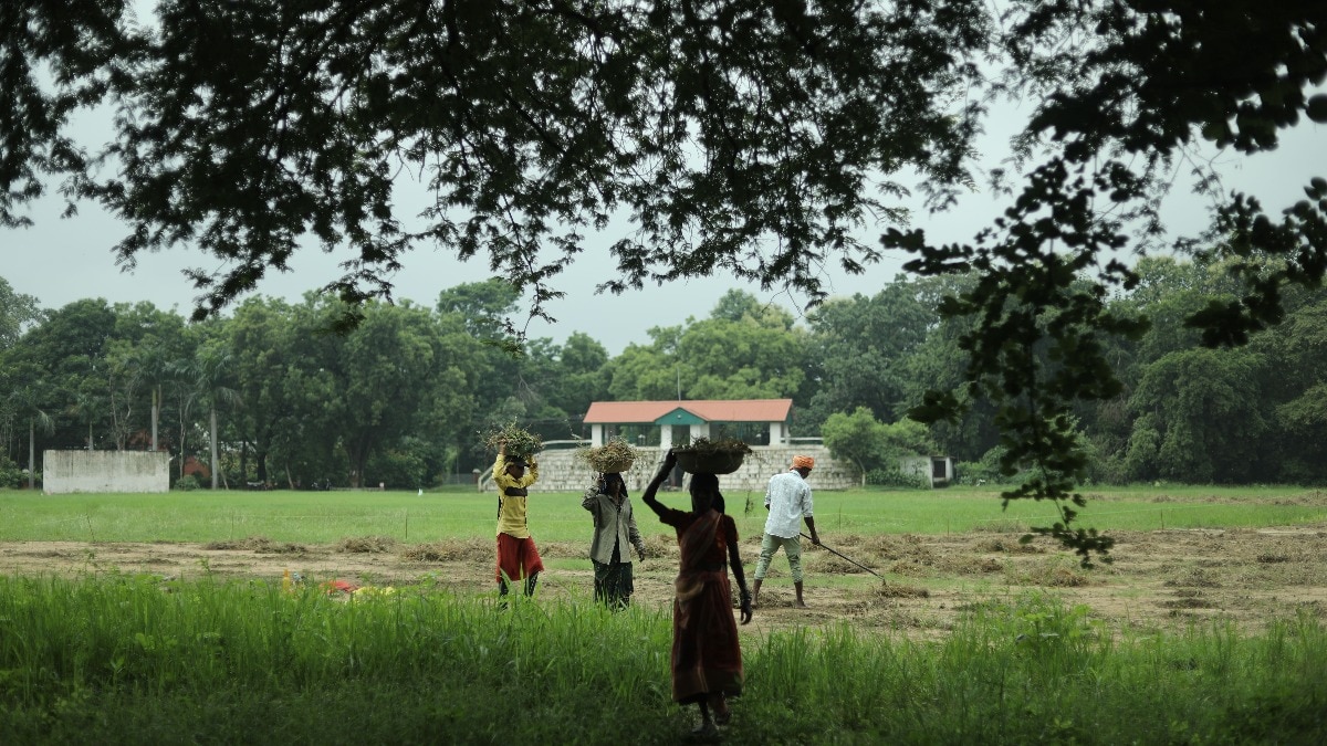 अकुशल, अर्द्धकुशल और कुशल श्रमिकों को मिलेगा लाभ (Photo-Pexles)