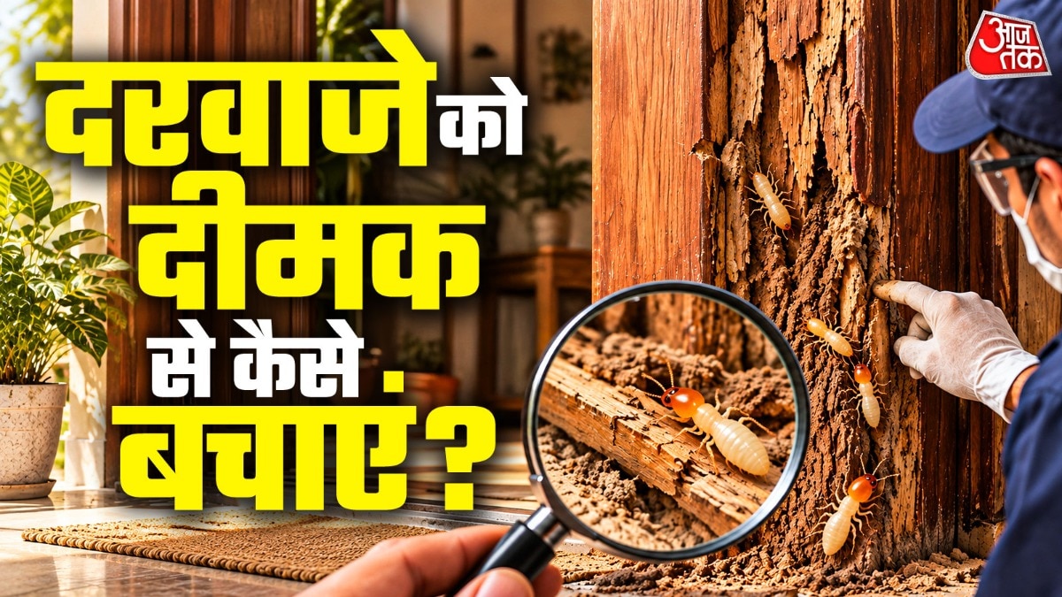 अगर आप चाहते हैं कि दीमक से दरवाजा खराब ना हो तो पहले उसका ट्रीटमेंट करा लें. (Photo: ITG)