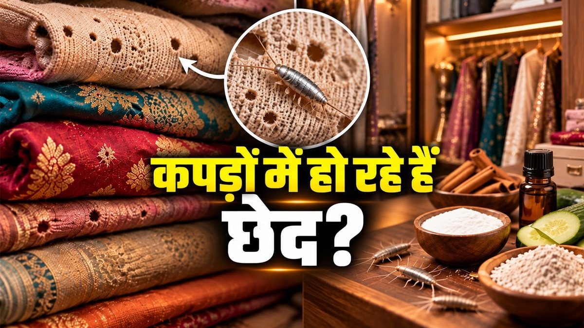 कपड़ों में छेद होने से बचाने के लिए आपको अलमारी जल्दी-जल्दी साफ करने की जरूरत है. (Photo: ITG) 