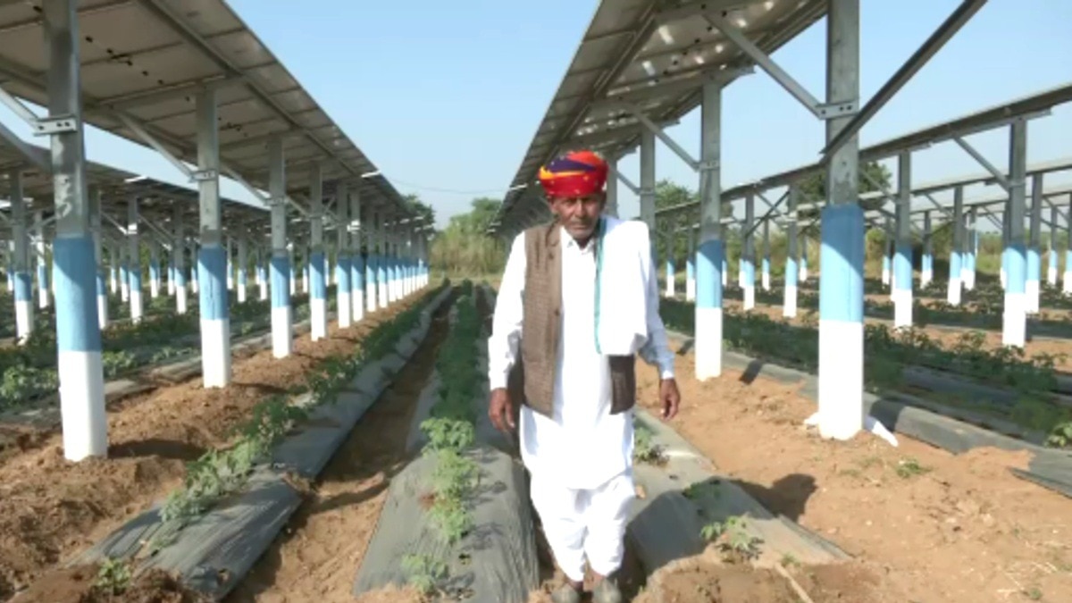 कजोड़मल जाट ने खेत में लगाया करीब 600 किलोवाट क्षमता का सोलर प्लांट.(Photo:ITG) 