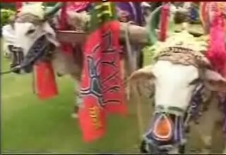 छत्तीसगढ़ में चुनाव प्रचार