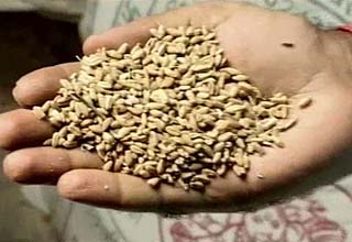 नकली आटा