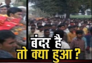 बंदर की शवयात्रा