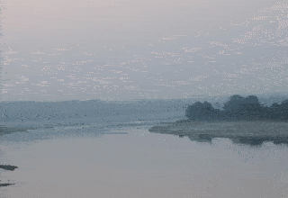 यमुना नदी