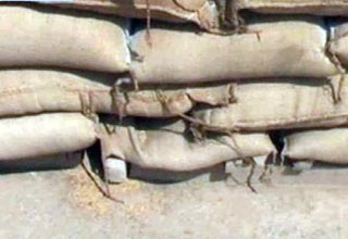 गेहूं की बर्बादी