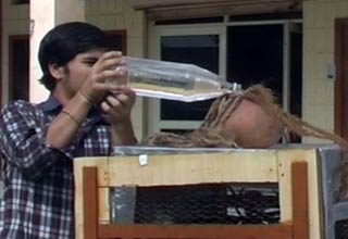 हरियाणा के बच्चे